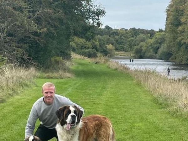 Henry Shefflin's two dogs. Photo: Instagram @hshefflin