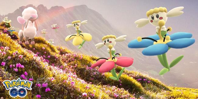 Image of Heart Trim Furfrou and several Flebebe with different colored flowers in a field