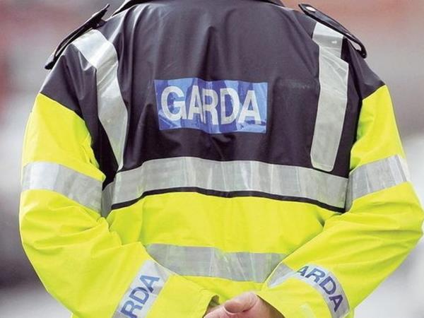 Gardai have been quitting the force