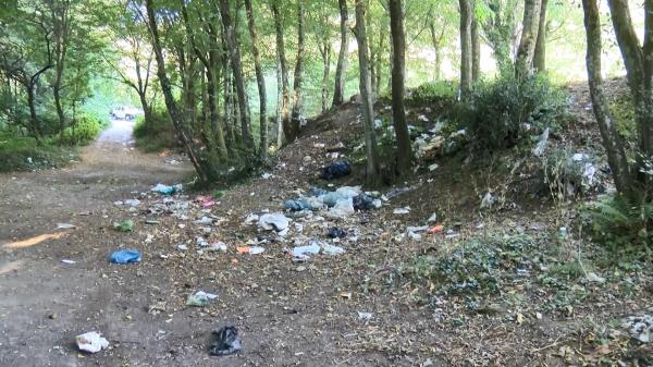 Heaps of trash removed from forest, beach